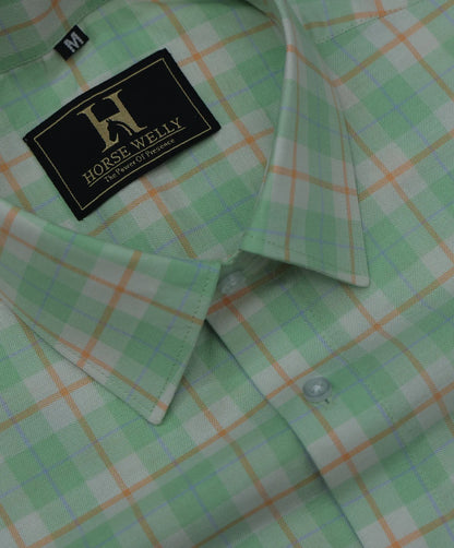 Men Green Regular Fit Check Full Sleeves Casual Shirt