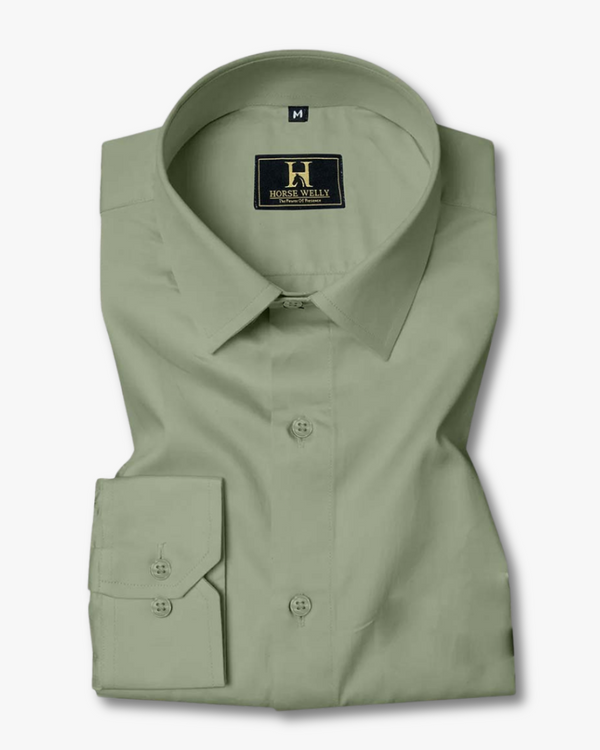 Olive green Regular Fit Formal Shirt For Men's